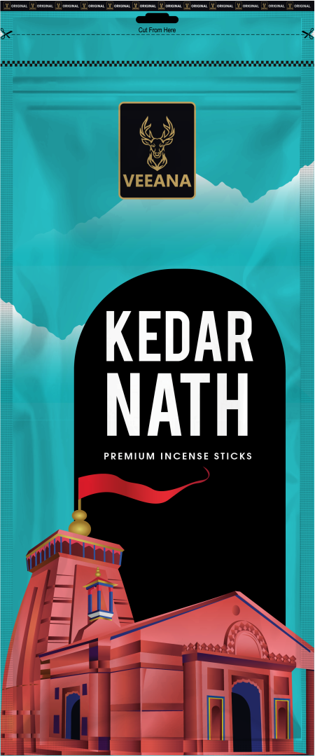 Veeana kedarnath zipper png